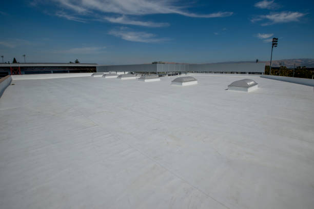 Best Roof Coating Services  in USA